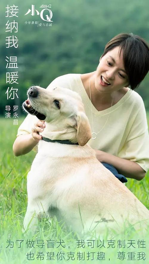 怎么买日本大阪国际大学文凭毕业证